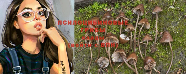 хмурый Алексеевка