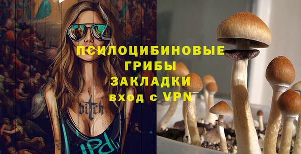 хмурый Алексеевка