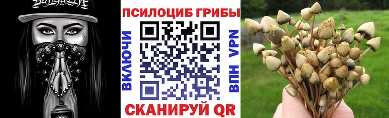 Псилоцибиновые грибы Psilocybe  Палласовка 